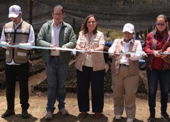 Rocío Nahle pone en marcha programa estatal Pulmones Verdes para 30 Áreas Naturales Protegidas