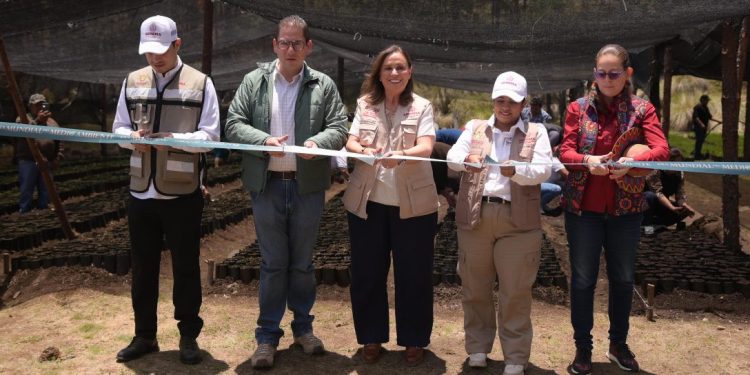 Rocío Nahle pone en marcha programa estatal Pulmones Verdes para 30 Áreas Naturales Protegidas