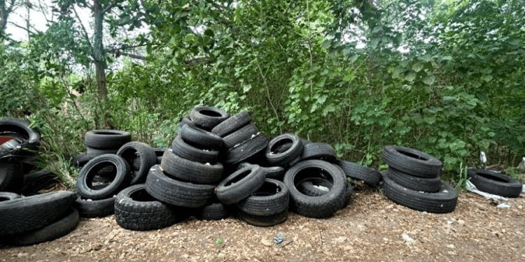 Recogen 2 toneladas de llantas en la Laguna del Camarón en Centro