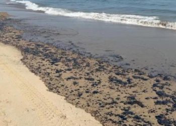 Pemex concluye limpieza por derrame en playas de Paraíso y mantiene diálogo con pescadores