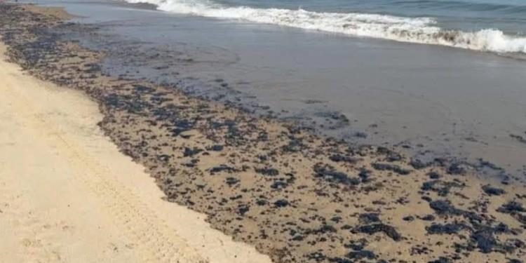 Pemex concluye limpieza por derrame en playas de Paraíso y mantiene diálogo con pescadores