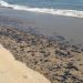 Pemex concluye limpieza por derrame en playas de Paraíso y mantiene diálogo con pescadores