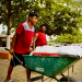 ENTREGA DE SEMILLAS DE MAÍZ A PRODUCTORES DE COMUNIDADES DE CAMPECHE
