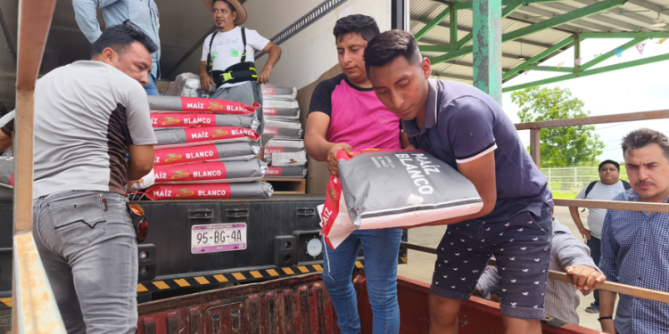 ENTREGA DE SEMILLAS EN HOPELCHÉN