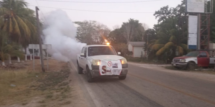 MÁS DE 279 MIL CRIADEROS DE MOSQUITOS ELIMINADOS EN TODO EL ESTADO