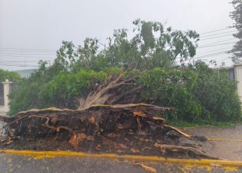 Tromba sorprende a Jalapa: árboles caídos, fallas eléctricas y riesgo de desbordamiento del río La Sierra
