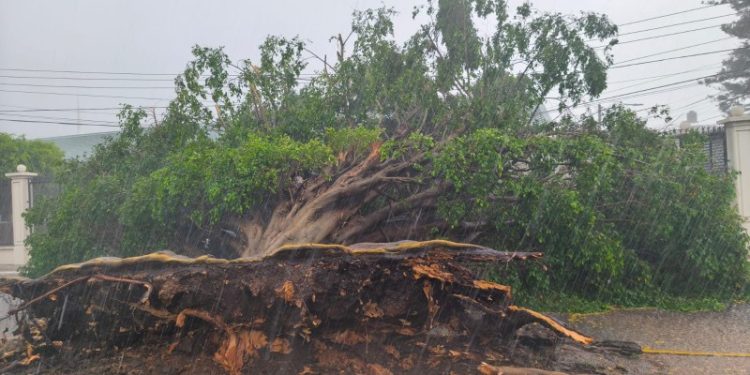 Tromba sorprende a Jalapa: árboles caídos, fallas eléctricas y riesgo de desbordamiento del río La Sierra
