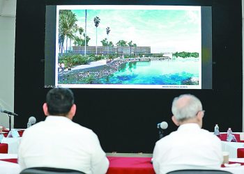 Colegio de Arquitectos propone reubicar el Museo Nacional Olmeca fuera del Parque Museo La Venta