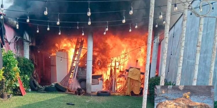 Muere perrito calcinado tras incendio en bodega de «Aguasol», Cárdenas