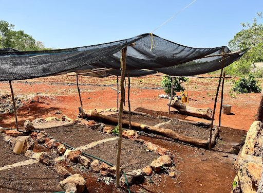 BIENESTAR IMPULSA LA PRODUCTIVIDAD DE PRODUCTORES AGROECOLÓGICOS DE HOPELCHÉN