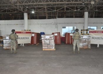 Marina asegura cargamento con más de 300 kilos de marihuana en el puerto de Veracruz