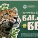 Regresa la “Ecoferia Balam Beh” a Campeche con trueque de reciclables y talleres ecológicos