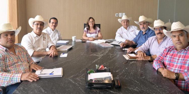 Rocío Nahle intensifica vigilancia y frena movilización de ganado sin control