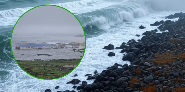 Primeras olas del tsunami impactan Hawái tras fuerte sismo en Kamchatka