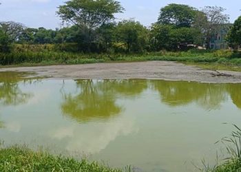 Denuncian desecación de laguna en Gaviotas por extracción ilegal de agua