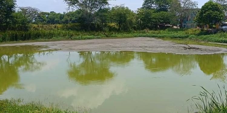 Denuncian desecación de laguna en Gaviotas por extracción ilegal de agua