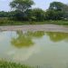 Denuncian desecación de laguna en Gaviotas por extracción ilegal de agua