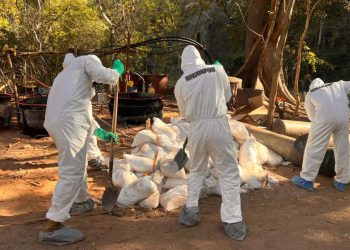 Aseguran narcolaboratorio en Sinaloa con más de 900 kilos de metanfetamina