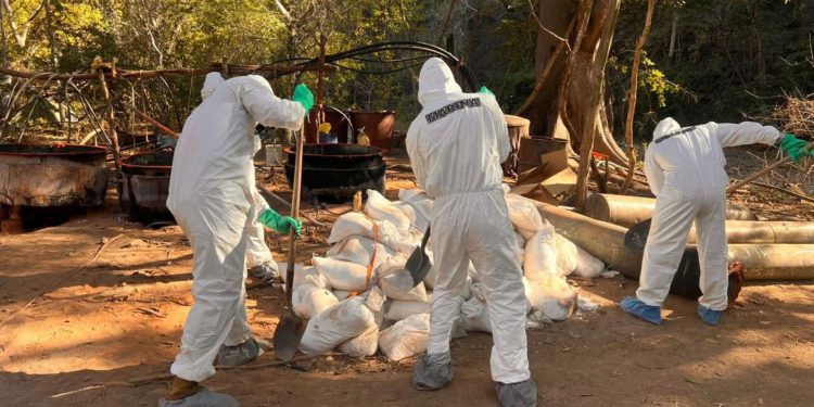 Aseguran narcolaboratorio en Sinaloa con más de 900 kilos de metanfetamina