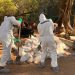 Aseguran narcolaboratorio en Sinaloa con más de 900 kilos de metanfetamina