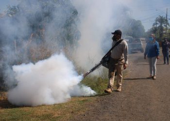 Campeche suma 141 casos de dengue en lo que va de 2025