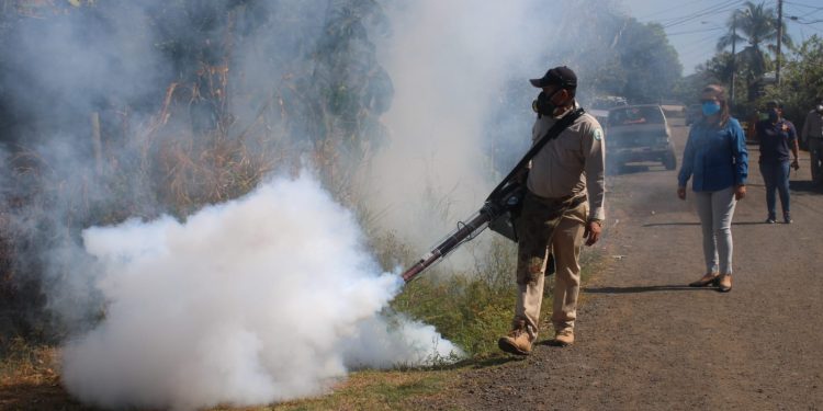Campeche suma 141 casos de dengue en lo que va de 2025
