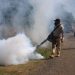 Campeche suma 141 casos de dengue en lo que va de 2025
