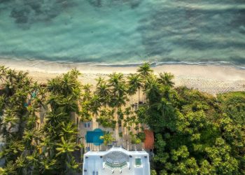 Ambientalismo selectivo: la nueva arma de la élite inmobiliaria para frenar inversiones