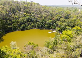 Visita del Programa Nacional de Restauración destaca casos de éxito en el Corredor Biológico Balam Beh
