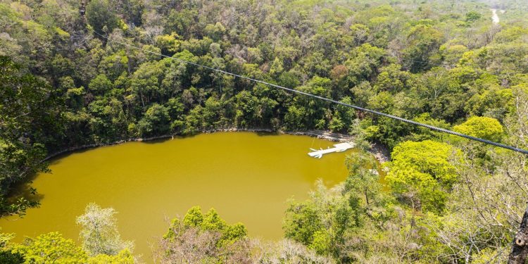 Visita del Programa Nacional de Restauración destaca casos de éxito en el Corredor Biológico Balam Beh