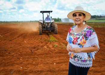 Anuncia Mara Lezama histórico programa de rehabilitación de caminos sacacosechas para fortalecer el campo en Quintana Roo