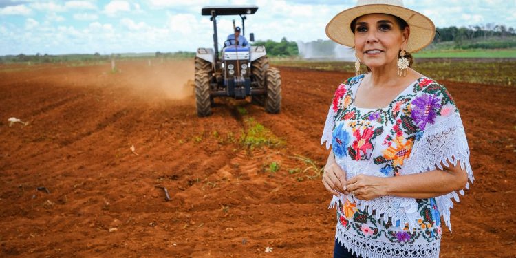 Anuncia Mara Lezama histórico programa de rehabilitación de caminos sacacosechas para fortalecer el campo en Quintana Roo