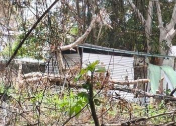 Denuncian invasión de terrenos de secundaria en Ocuiltzapotlán