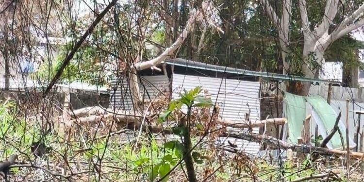 Denuncian invasión de terrenos de secundaria en Ocuiltzapotlán