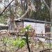 Denuncian invasión de terrenos de secundaria en Ocuiltzapotlán