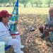 Alcanza programa “Salud Casa por Casa” las 30 mil visitas en Tabasco
