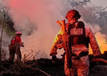 Incendio de pastizal en Nicolás Bravo, Macuspana, moviliza a Protección Civil