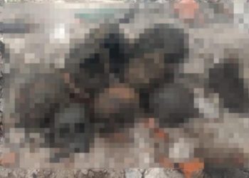 Osamentas halladas en la CDMX serían de antiguo panteón del siglo XVIII: Gobierno
