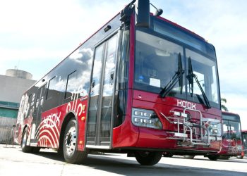 Ko’ox podría iniciar operaciones en agosto con servicio gratuito