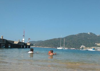 Marina Bus: el nuevo transporte público turístico que conectará Puerto Márquez con el centro de Acapulco