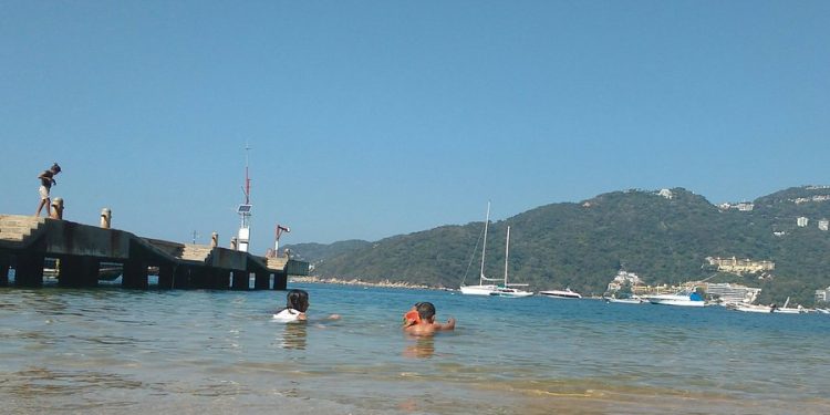 Marina Bus: el nuevo transporte público turístico que conectará Puerto Márquez con el centro de Acapulco
