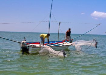 Impulsan reforma a la Ley de Pesca para combatir ilegalidad y proteger a pescadores