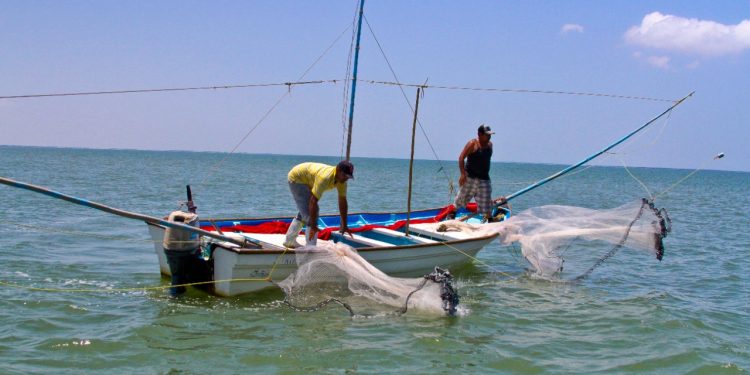 Impulsan reforma a la Ley de Pesca para combatir ilegalidad y proteger a pescadores