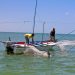 Impulsan reforma a la Ley de Pesca para combatir ilegalidad y proteger a pescadores