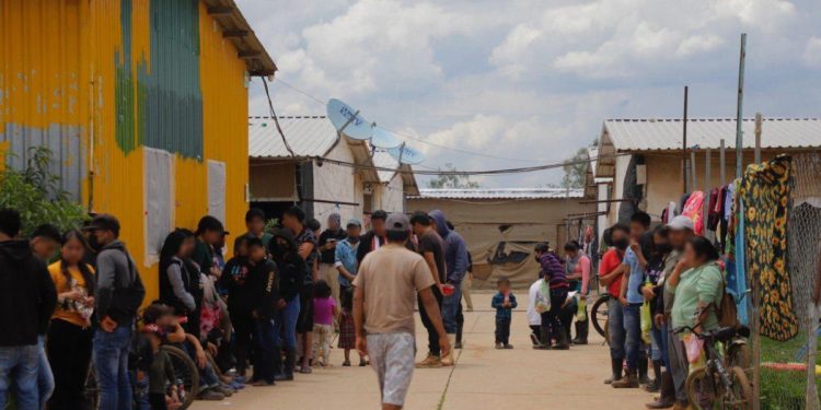 Rescatan a 700 víctimas de explotación laboral en un rancho de Guanajuato