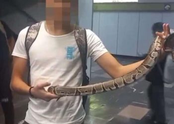 Detienen a joven por intentar ingresar al Metro de CDMX con una serpiente