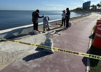 SEDUMOP atiende hundimiento en el Malecón de San Francisco de Campeche