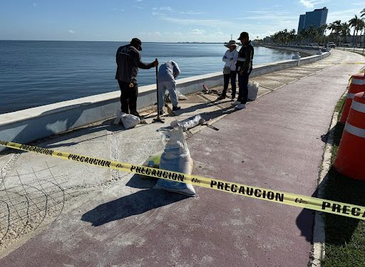 SEDUMOP atiende hundimiento en el Malecón de San Francisco de Campeche
