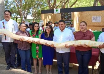 Javier May inaugura herpetario en el Yumká y da inicio al 4º Festival Mexicano de la Serpiente