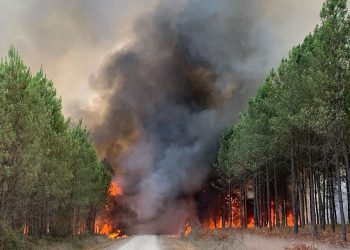Incendio forestal en Francia rebasa el tamaño de París